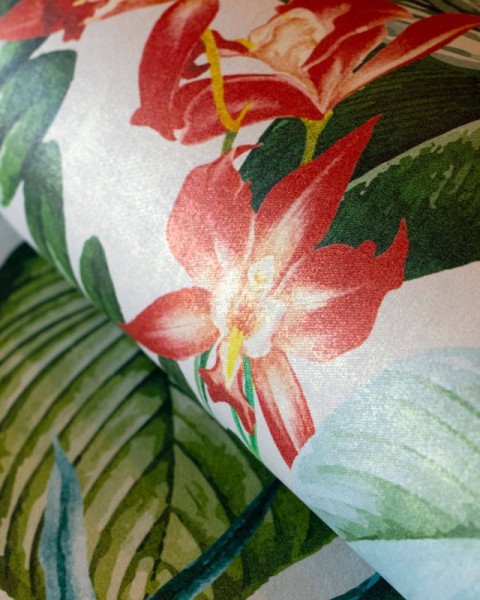 HOHENBERGER | TROPICAL | KIRIBATI AVOCADO | 26740