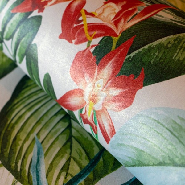 HOHENBERGER | TROPICAL | KIRIBATI AVOCADO | 26740