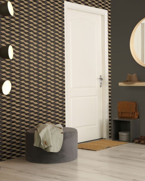 Hohenberger | Universe | Venus