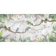 Honpo | Botanical Rhapsody