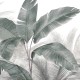 Honpo | Equator Secrets | HO-0045