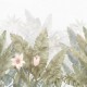 Honpo | Tropical Evanesce