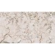 Honpo | Weathered Grace