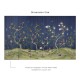 Affreschi & Affreschi | Eden | Evanescence | ED-SG0202