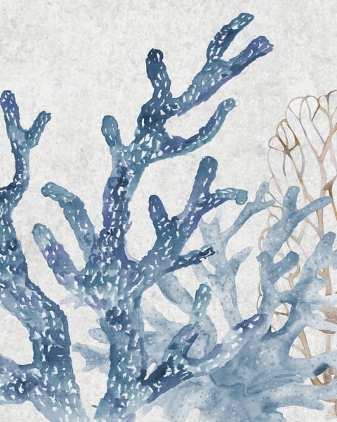 Honpo | Abyssal Bloom