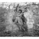 Affreschi & Affreschi | Carpe Diem | CD044