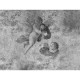 Affreschi & Affreschi | Carpe Diem | CD049