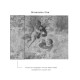 Affreschi & Affreschi | Carpe Diem | CD049