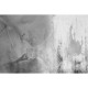 Affreschi & Affreschi | Carpe Diem | CD081