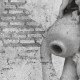 Affreschi & Affreschi | Carpe Diem | CD098