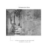 Affreschi & Affreschi | Carpe Diem | CD113