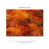Affreschi & Affreschi | Remember When | RW03