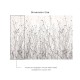 Affreschi & Affreschi | Shadows | SH10