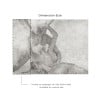 Affreschi & Affreschi | Still Love | SL01