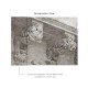 Affreschi & Affreschi | Still Love | SL02