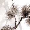 Affreschi & Affreschi | Still Love | SL25