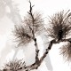 Affreschi & Affreschi | Still Love | SL25