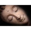 Affreschi & Affreschi | Still Love | SL58