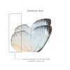 Affreschi & Affreschi | Still Love | SL67
