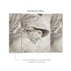Affreschi & Affreschi | Still Love | SL93