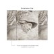 Affreschi & Affreschi | Still Love | SL93