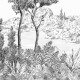 Honpo | Bosque Costero | HO-007