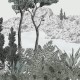 Honpo | Bosque Costero | HO-007