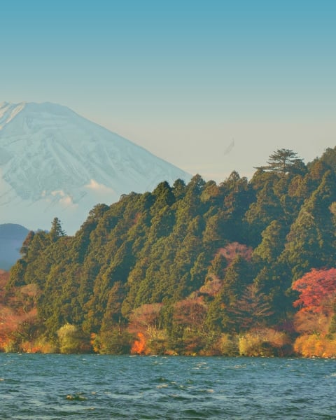 Honpo | Fuji Horizon