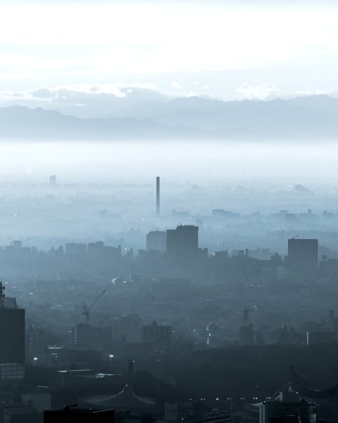 Honpo | Mist and Monolith