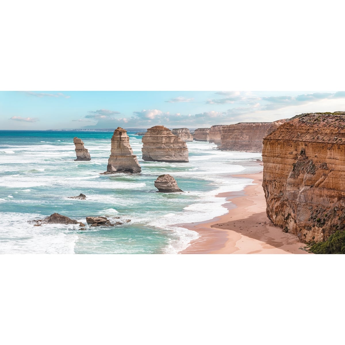 Honpo | Shoreline Honpo | Shoreline