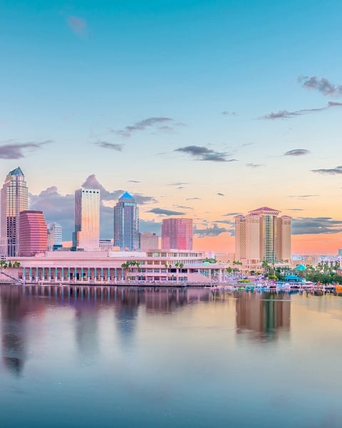 Honpo | Tampa Twilight