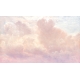 Honpo | Sunset Cloud