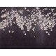 Honpo Craftwall | Colibris
