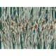 Honpo Craftwall | Narcise