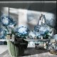 Honpo Craftwall | Peon