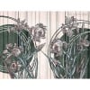 Honpo Craftwall | Clarri