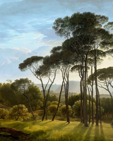 Honpo IM | Landscape | Umbrella Pines | LDS 105