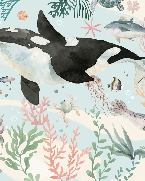 Honpo | My First Aquarium