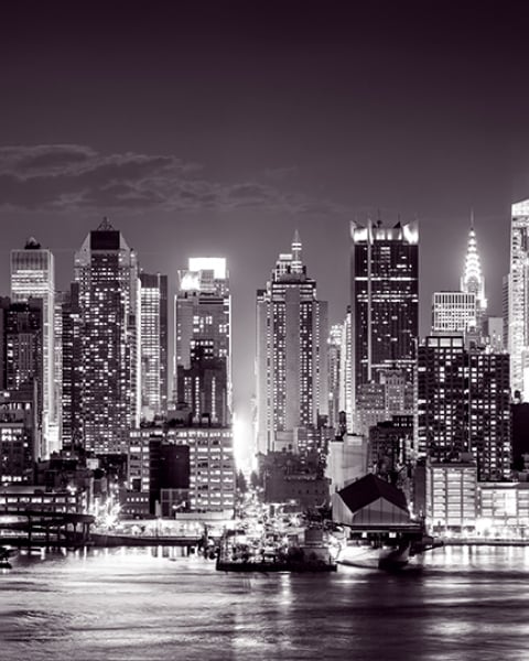 Honpo | Noir Skyline