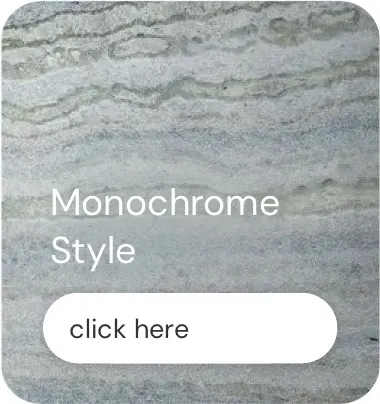 monochrome style