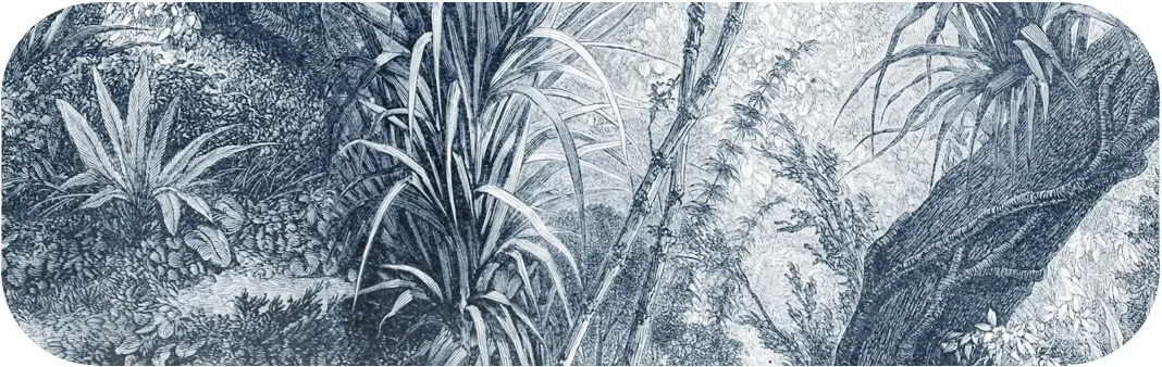 blue vintage tropical mural