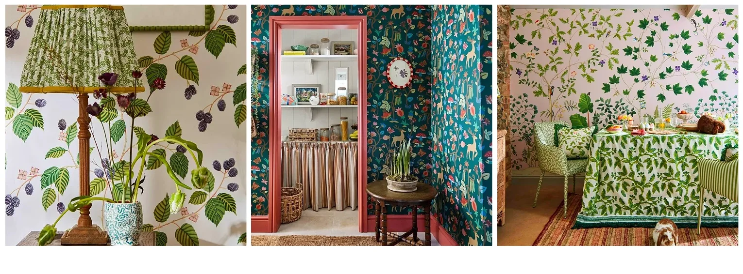 see the detail of each our collection!