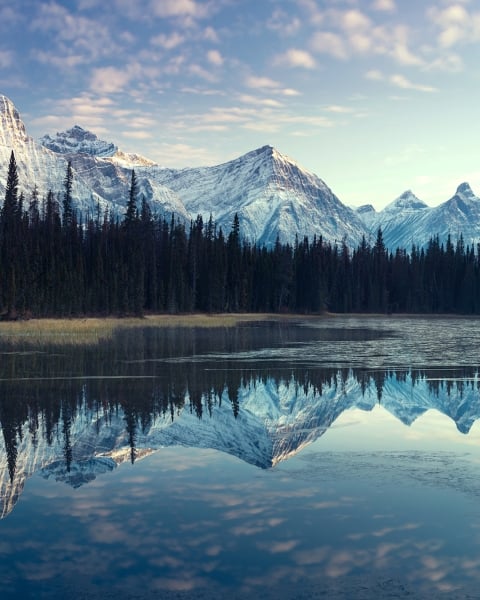 Honpo | Alpina Horizon