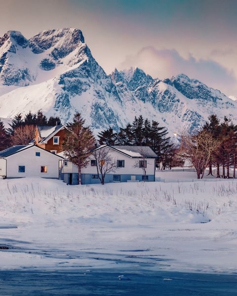 Honpo | Arctic Refuge