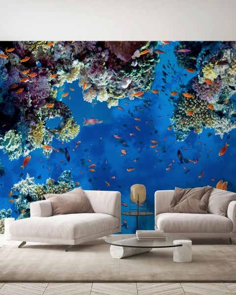 Honpo | Coral Kingdom