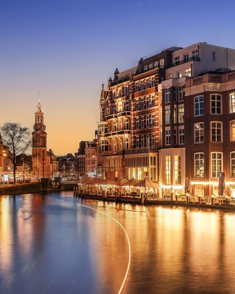 Honpo | Gilded Waterfront