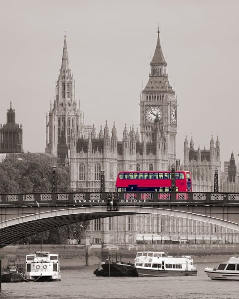 Honpo | London Pulse