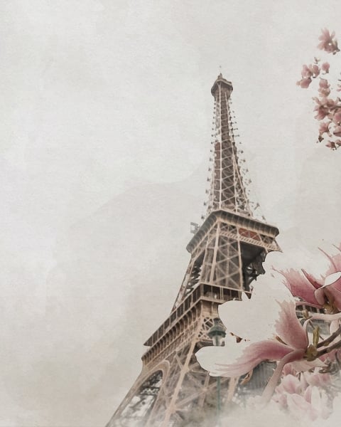 Honpo | Magnolia Mist