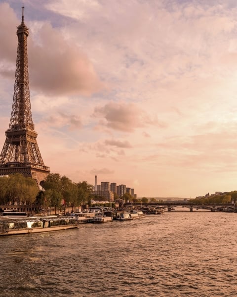 Honpo | Parisian Petals