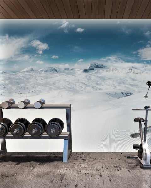 Honpo | Peak Velocity